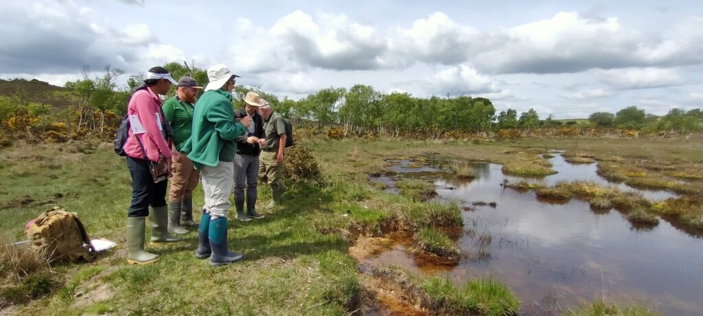 Spotlight on PNHF interest groups: connect, explore and collaborate