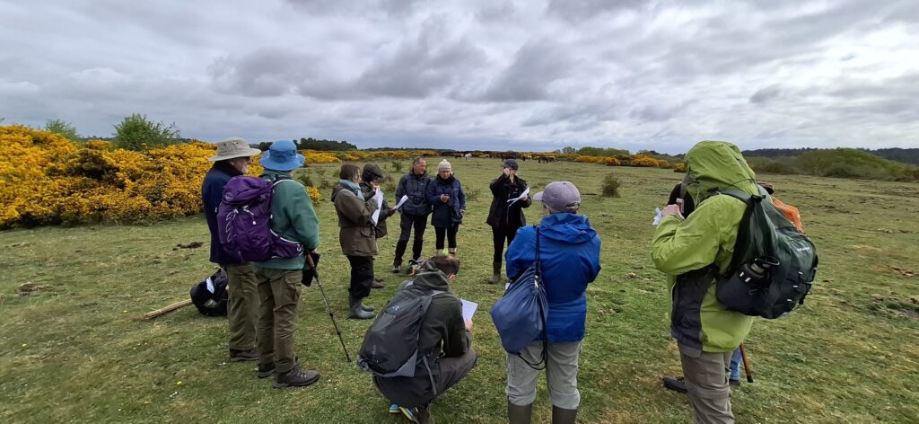 Monitoring for nature: meet the Purbeck Heaths monitoring group