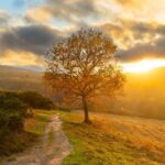 Autumn Recorders Meeting & AGM