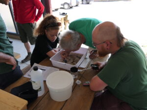 Aquatic Invertebrate Monitoring group