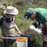 Aquatic Invertebrate ID session