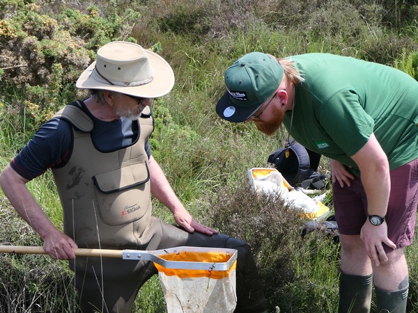 Aquatic Invertebrate ID session